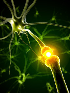 shutterstock_135034124